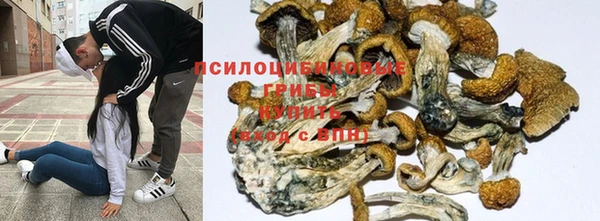 мескалин Арсеньев