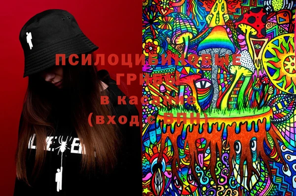 кокс Аркадак